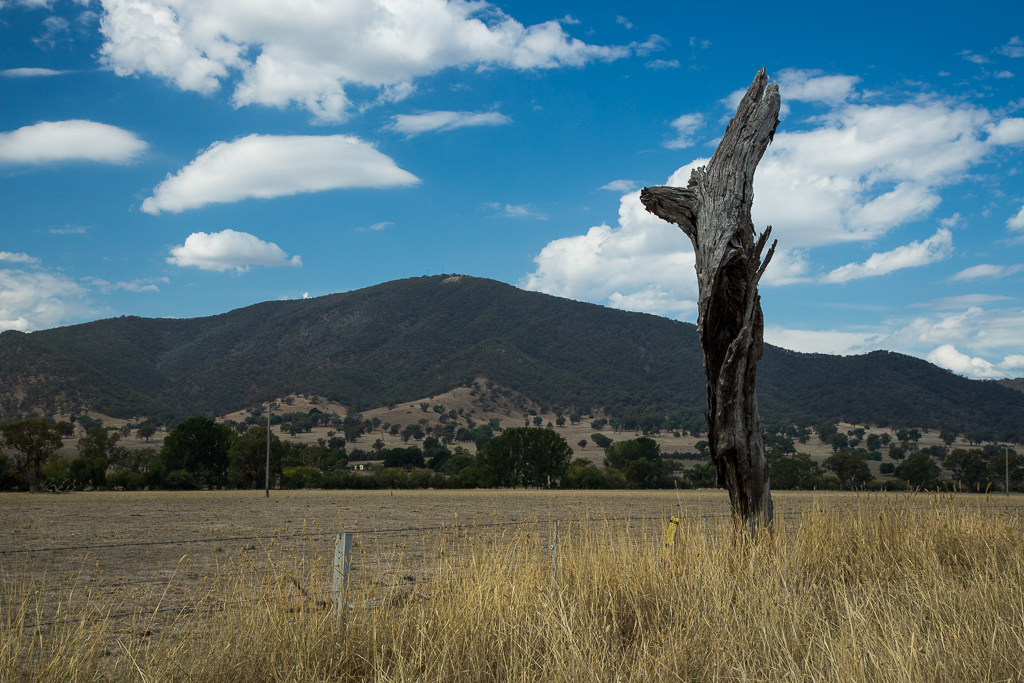 out_to_cooma-6