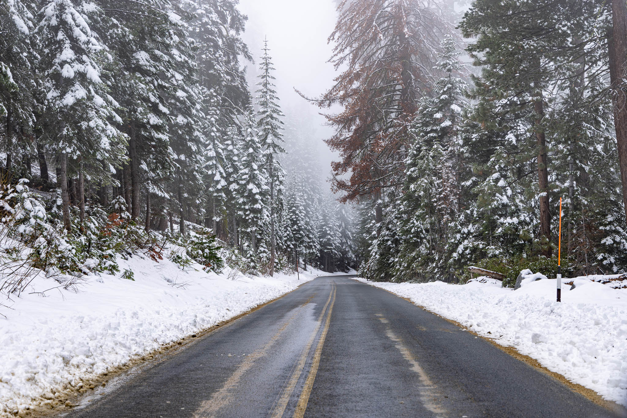 Two Generals, One Long Overdue Visit